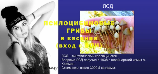 экстази Абаза