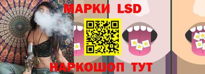 винт Донецк