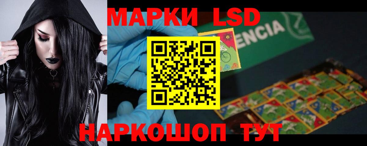 Вичуга  блэк спрут вход  Вход с VPN  LSD-25 экстази кислота 