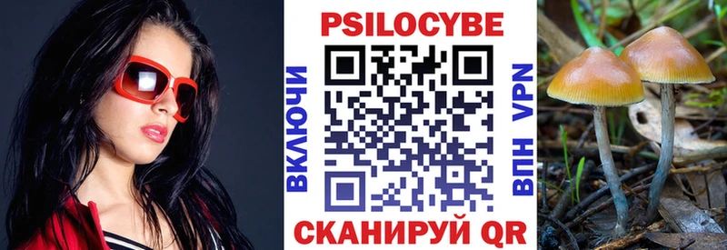 цена   Вичуга  Галлюциногенные грибы мицелий 