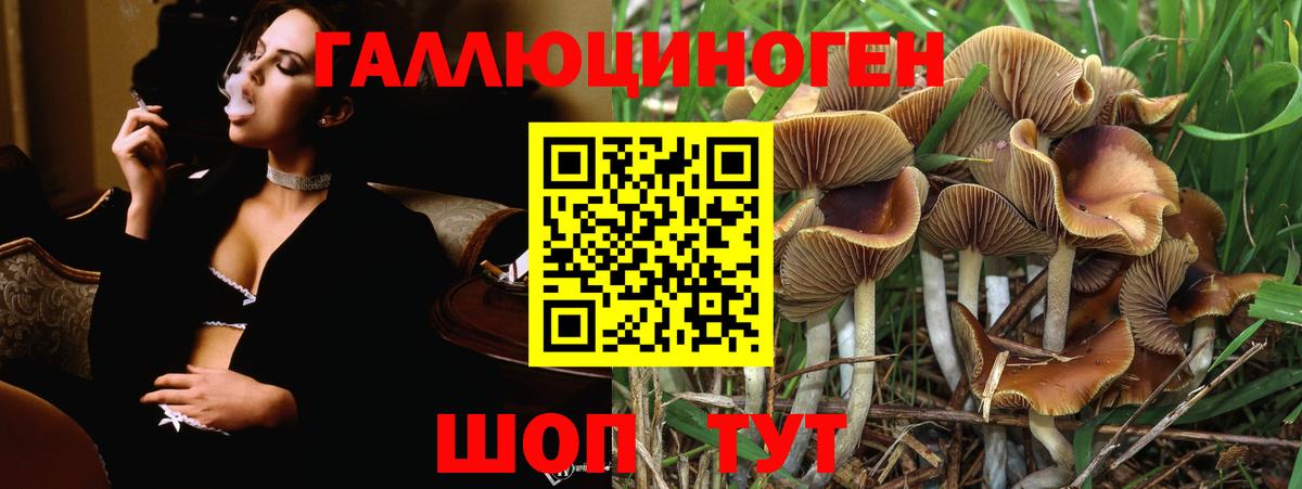 Псилоцибиновые грибы мухоморы  Вход с VPN  Вичуга 