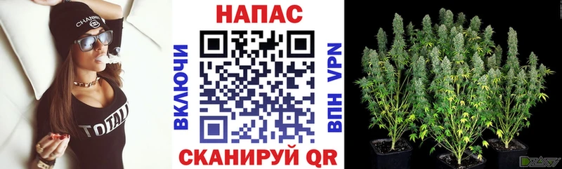 магазин  наркотиков  Вичуга  Бошки марихуана Ganja 